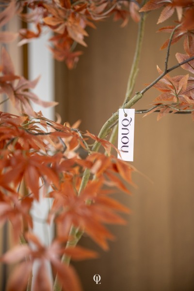 NOUQ-2