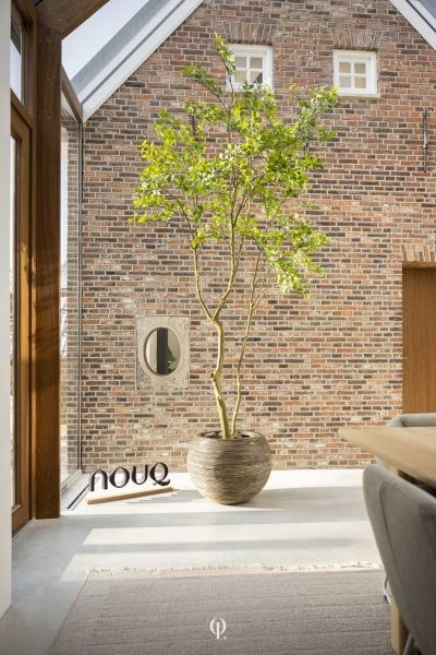 NOUQ-3